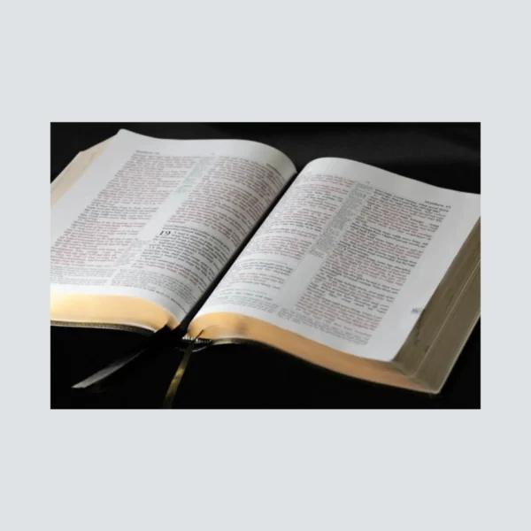 Academy Study Bible - Image 3