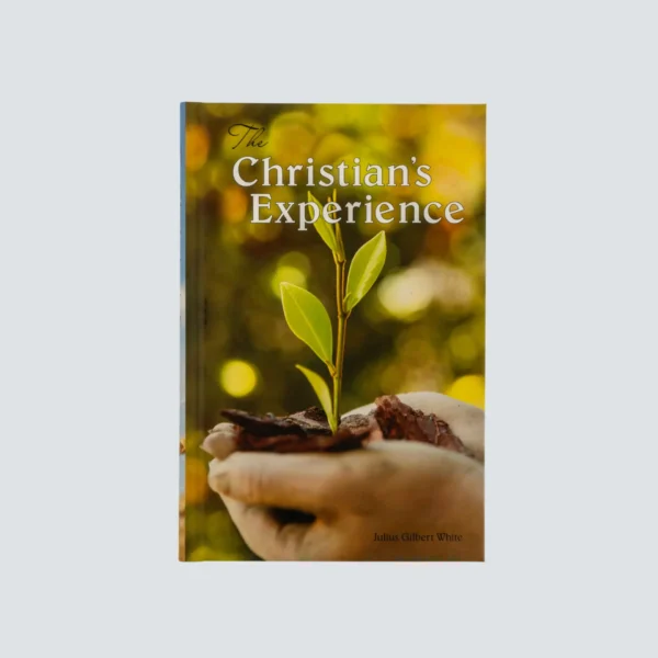 The Christian's Experience - Image 2