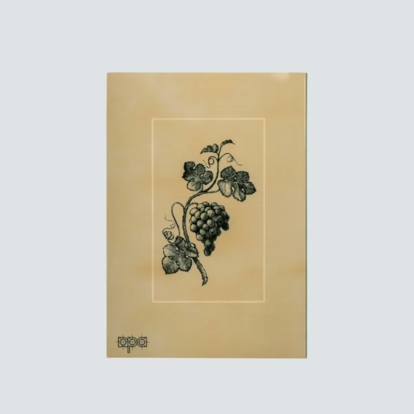 Original Diet - Image 2