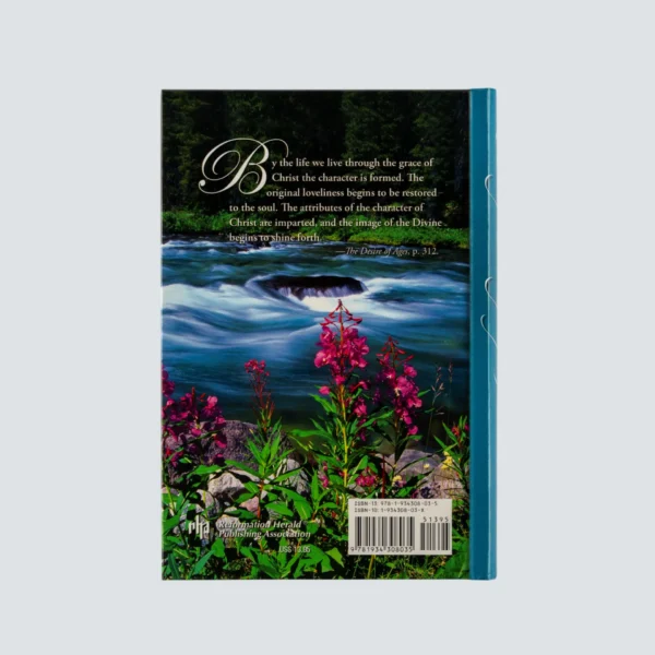 Restoring the Image of God - Image 3