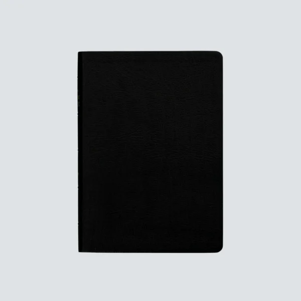 The Vision Study Bible - Genuine Leather - Image 2